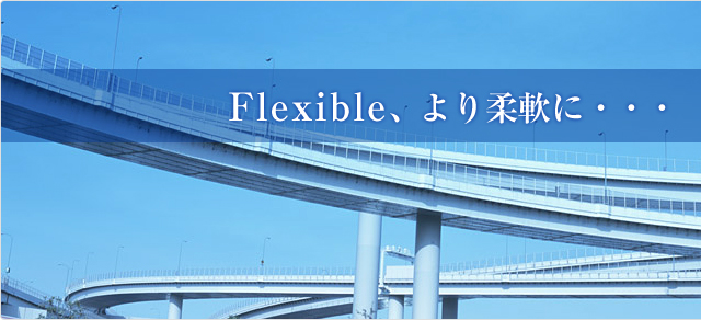 FlexibleA_ɁEEE